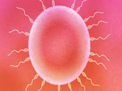 Thumbnail of post image 186