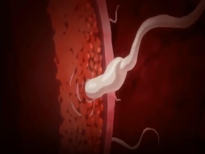 Thumbnail of post image 048